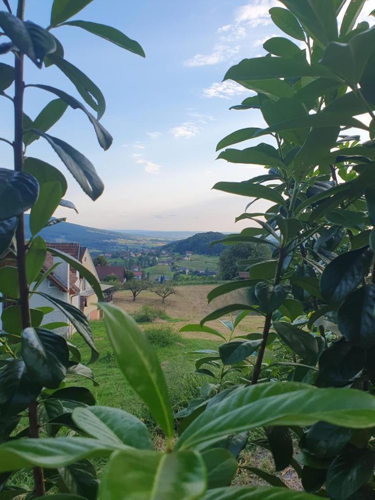 Feriendomizil Schleich Am Steinriegl Apartman Bad Gleichenberg Kültér fotó